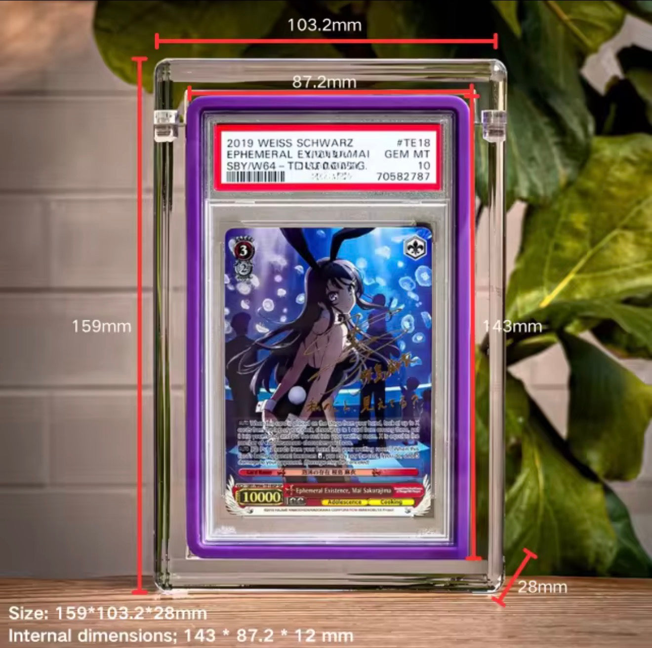 PSA Acrylic Case Magneric Slab Graded Card Display